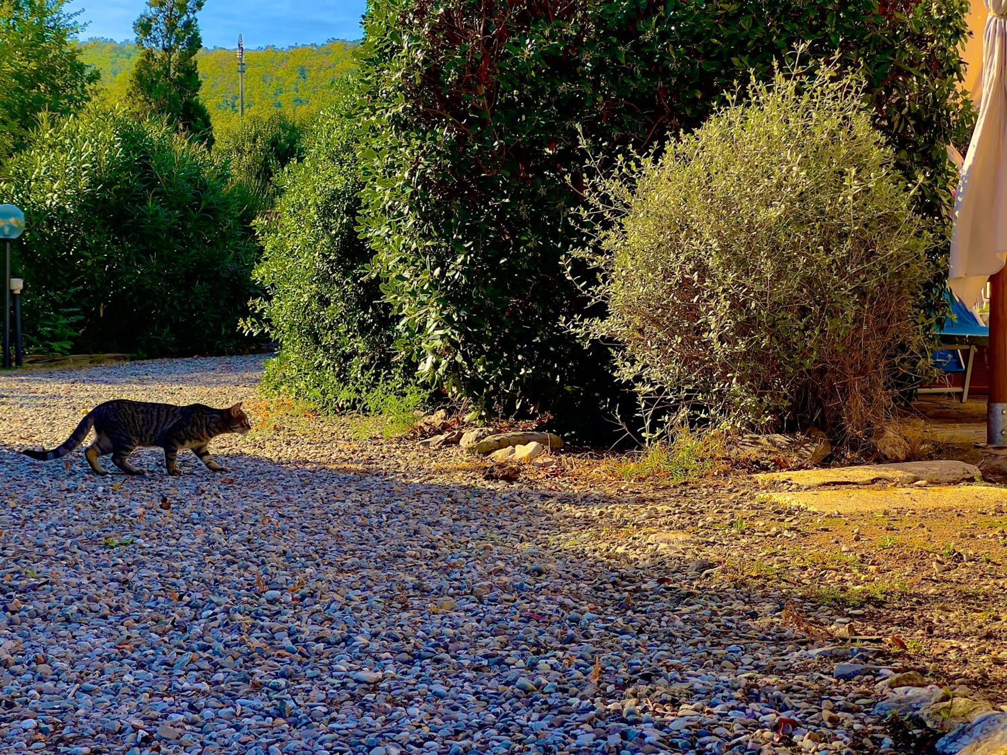 Carpine Agriturismo Bio In Maremma Alberese Extérieur photo