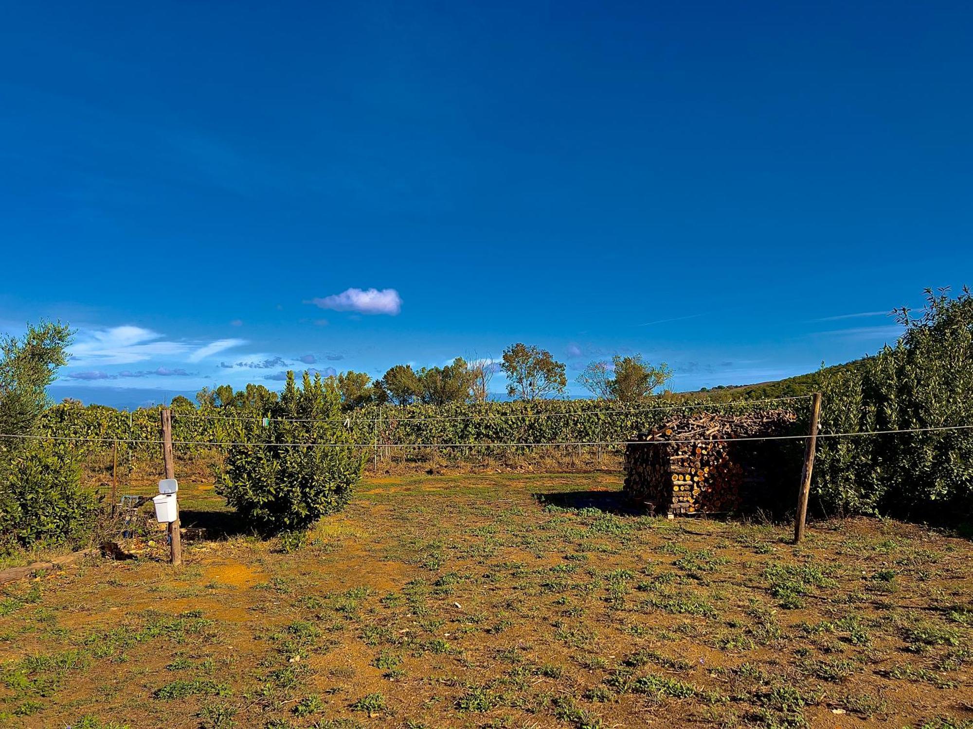 Carpine Agriturismo Bio In Maremma Alberese Extérieur photo