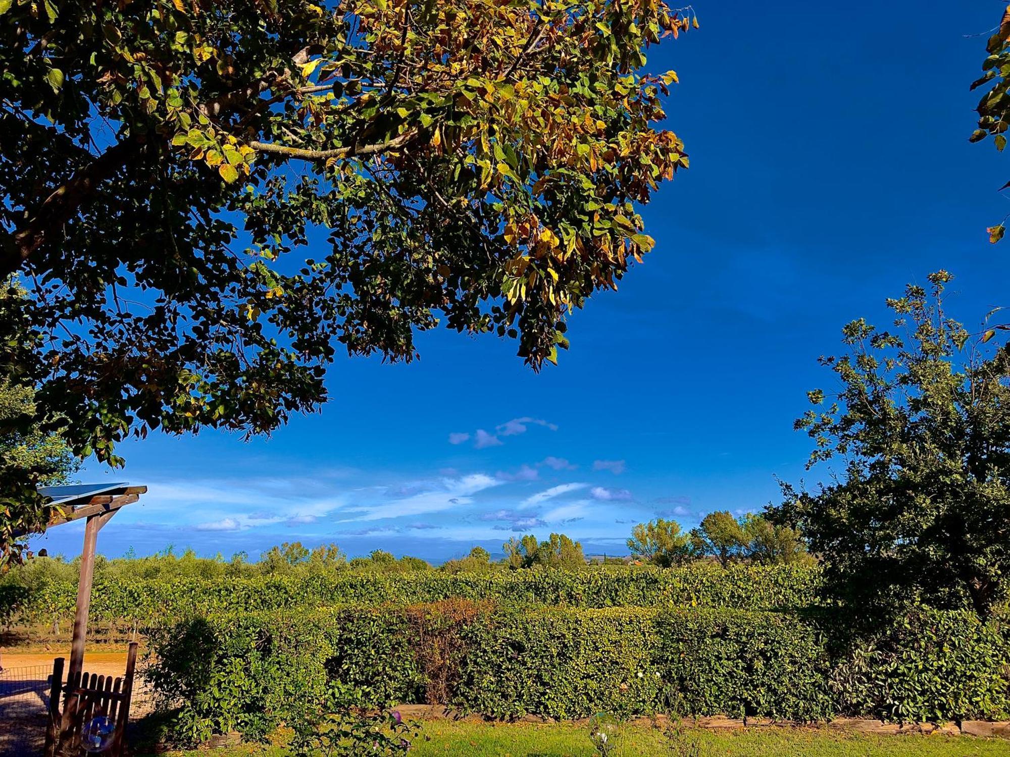 Carpine Agriturismo Bio In Maremma Alberese Extérieur photo