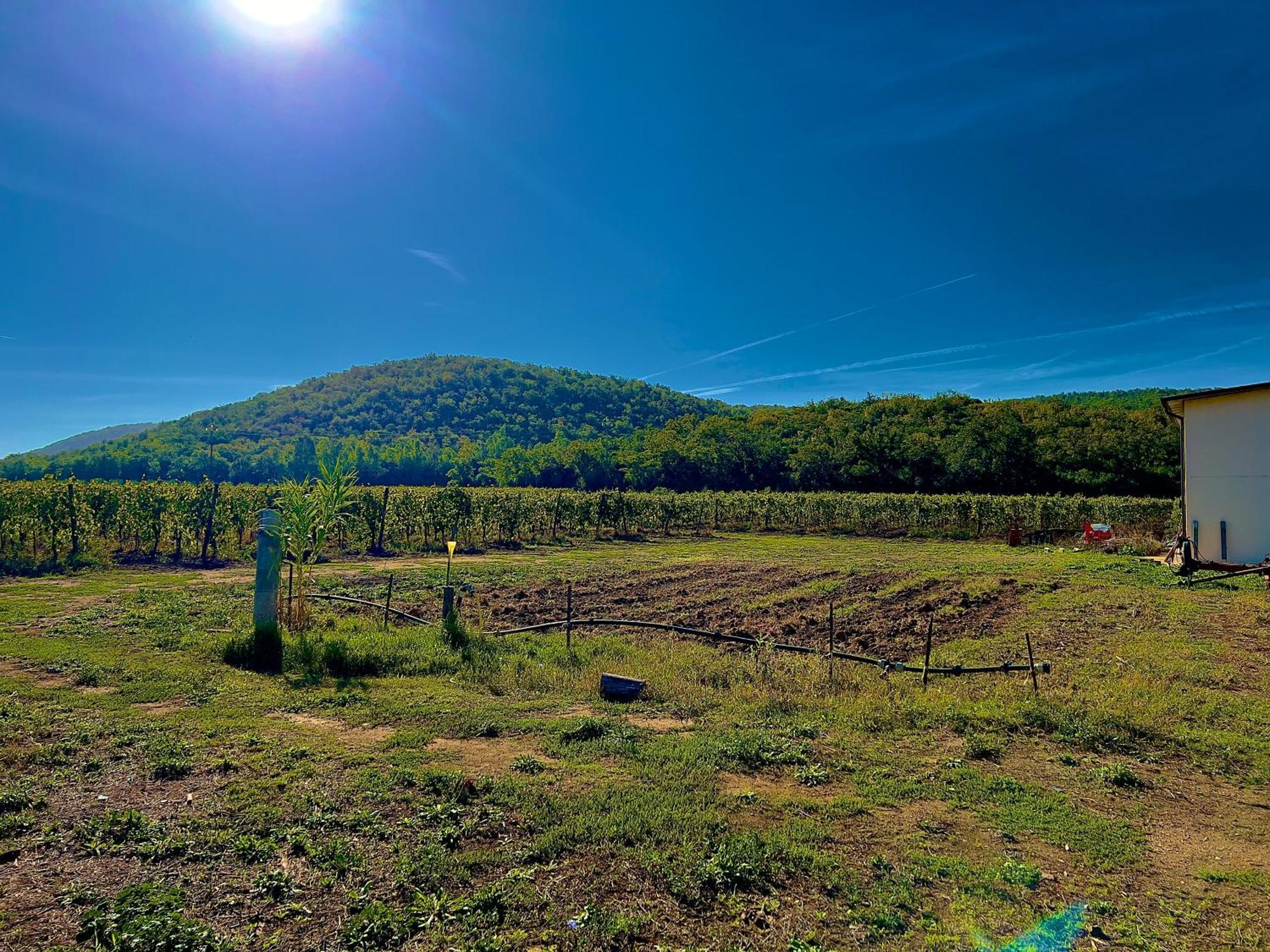 Carpine Agriturismo Bio In Maremma Alberese Extérieur photo