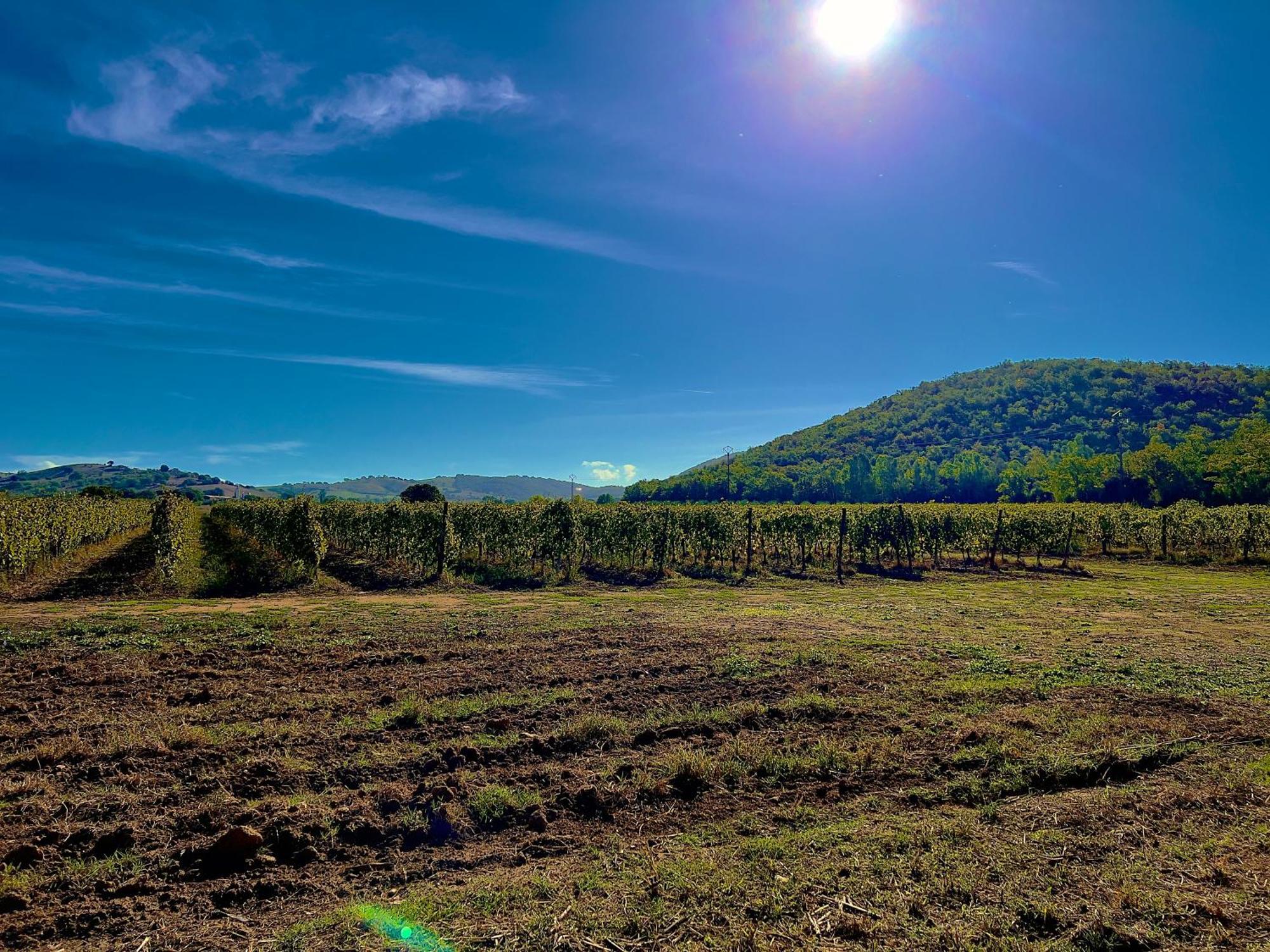 Carpine Agriturismo Bio In Maremma Alberese Extérieur photo
